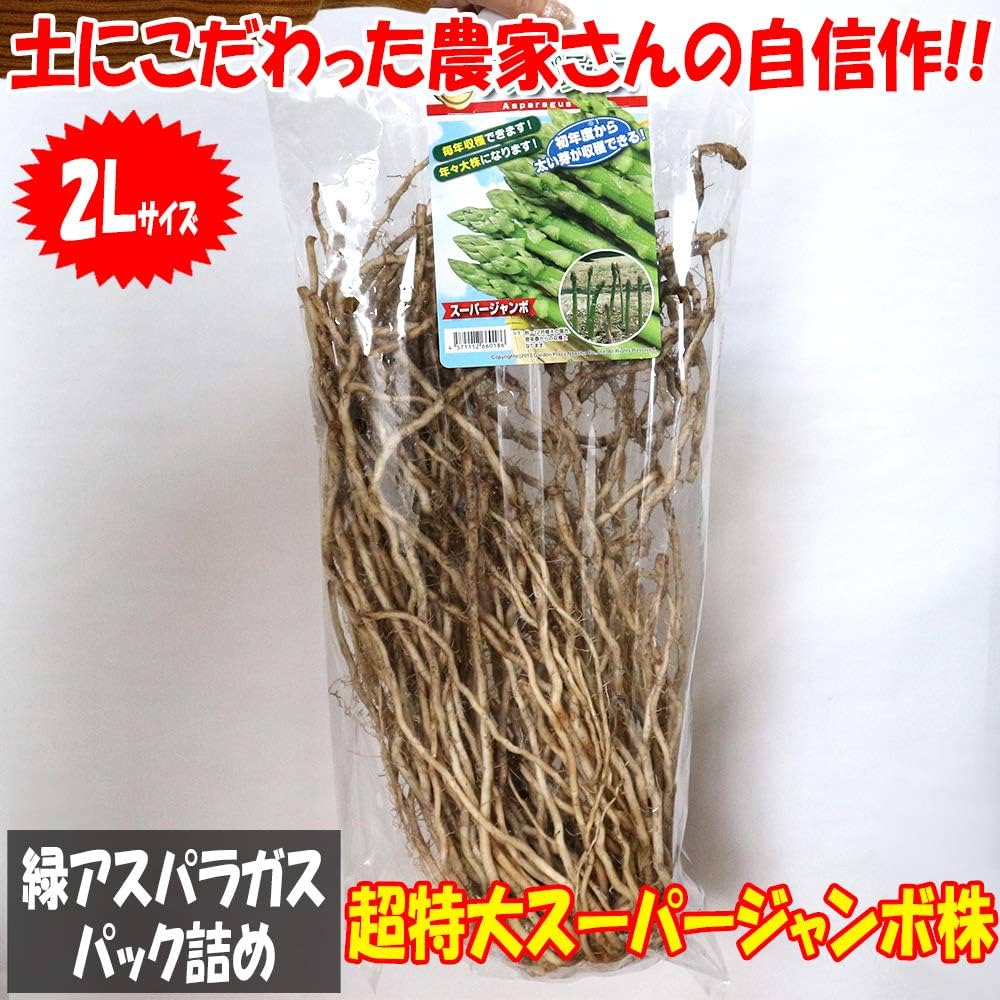 Amazon.co.jp: ITANSE 緑アスパラガス パック詰め 特大